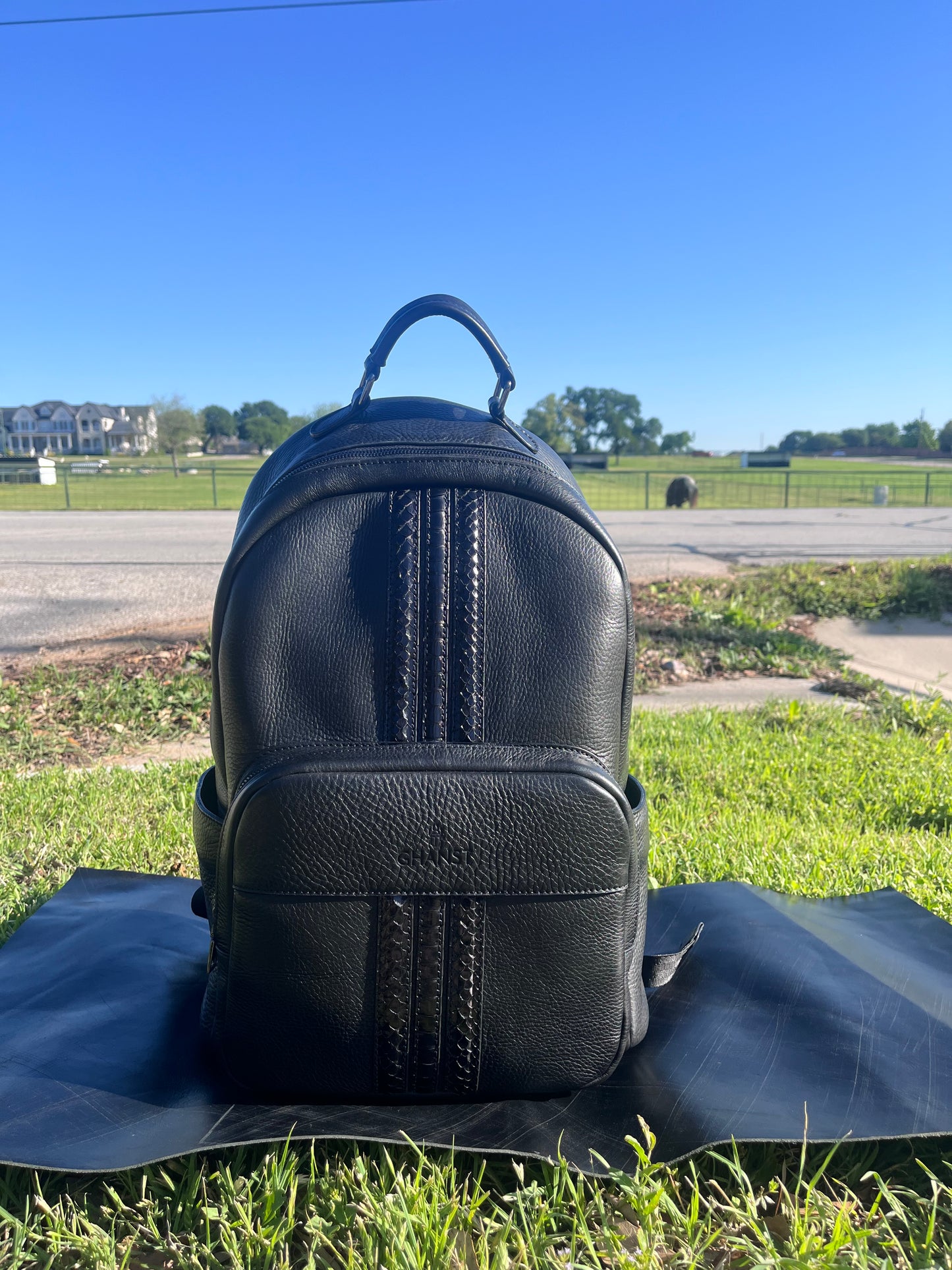 Mix Python & Bovine Leather, Backpack